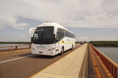Buslink VIVO - Renee 1