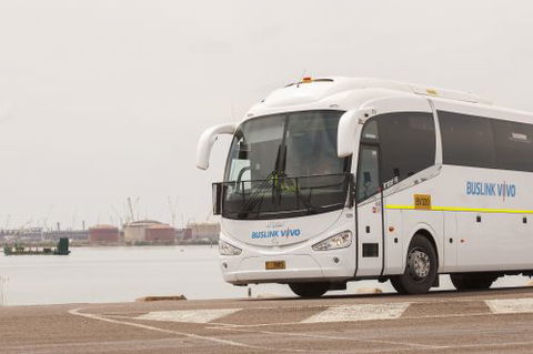 Buslink VIVO - Renee 2