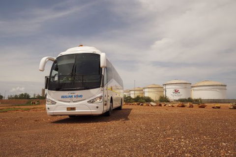 Buslink VIVO - Renee 3