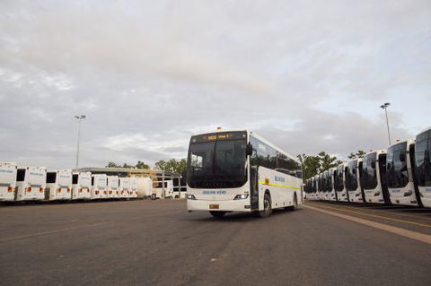 Buslink VIVO - Renee 4