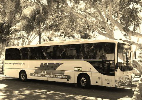 Mackay Transit Coaches - Renee 0