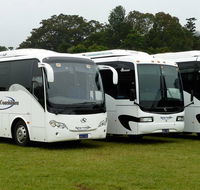 Maleny Coachlines - Internet Find