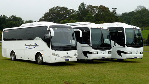 Maleny Coachlines - Internet Find 0