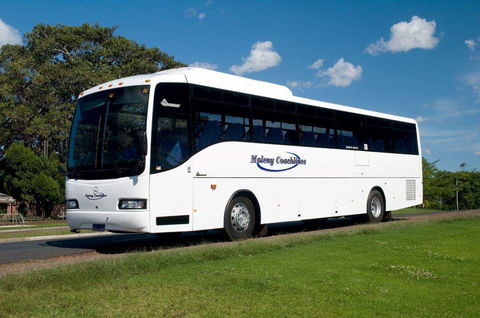 Maleny Coachlines - Internet Find 3