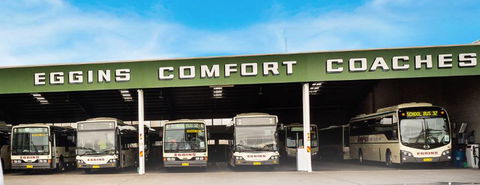 Eggins Comfort Coaches - Renee 1