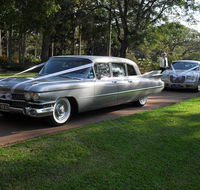 Red Carpet Transport Services - Renee