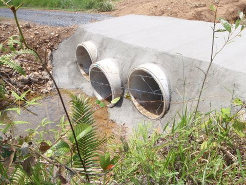 Craws Farm Services - Swimm 0