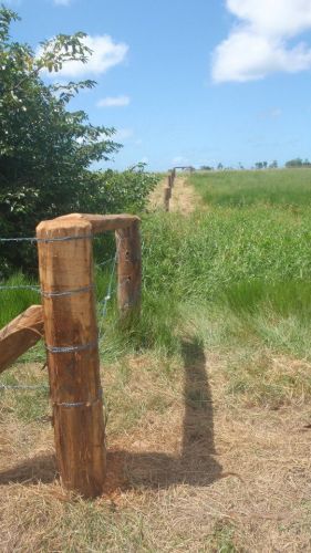 Craws Farm Services - Swimm 4