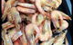 Emu Park Meats - thumb 1