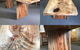 Bessant Custom Furniture - thumb 2