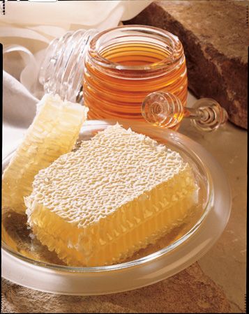 The Honey Place - Renee 1