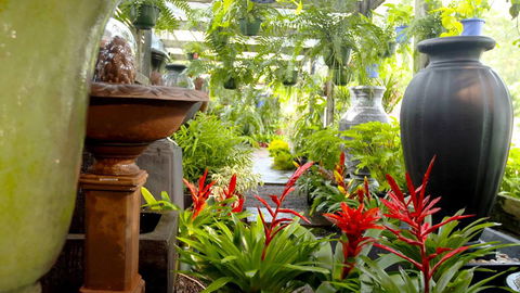 Heritage Gardens Nursery - Internet Find 2