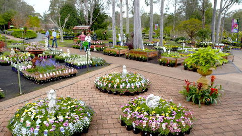 Heritage Gardens Nursery - Internet Find 3