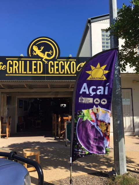 The Grilled Gecko Cafe - Swimm 0