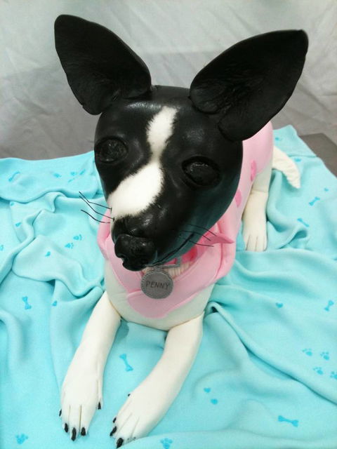 CakesNT - Renee 4