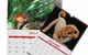 Gainsborough Graphics - thumb 1