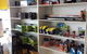Evolution Solar Kingaroy - thumb 11