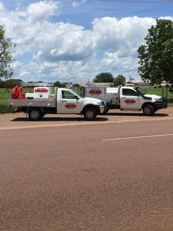 Building Pest Inspections Renee