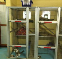 Purrs  Paws Pet ResortNT Agent For Ozpet Transport - Renee