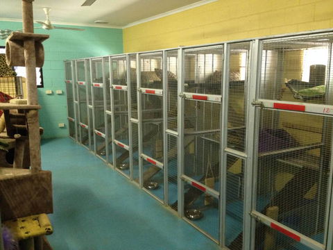 Purrs & Paws Pet Resort–NT Agent For Ozpet Transport - Internet Find 1