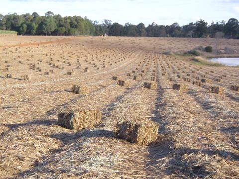 Landscape Supplies Maryborough QLD Qld Realsetate