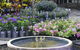 Tanby Garden Centre - thumb 3