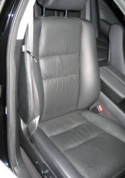 Jim McGill Motor Trimmers - Renee 1