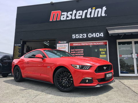 Mastertint - Renee 1