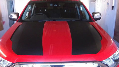 Mobile Tint & Graphics - Renee 3