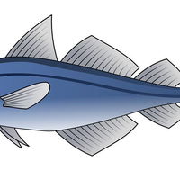 Burnett Heads Takeaway  Seafood - Renee