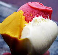 Geminis Gelati - Internet Find
