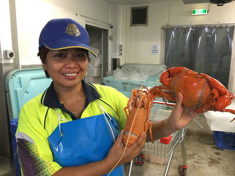 Mackay Fish Market - Internet Find 0