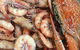Mackay Fish Market - thumb 1