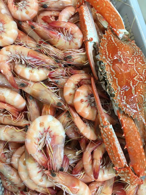 Mackay Fish Market - Internet Find 1