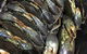Mackay Fish Market - thumb 2