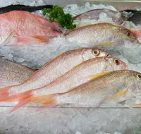 Mooloolaba Fish Market - Renee