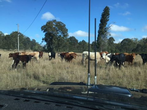 Elecfix Solutions - Swimm 2