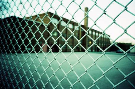 The Fence Shop - Swimm 8