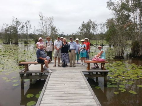 Busy Bus Shuttle & Tour Service - Swimm 2