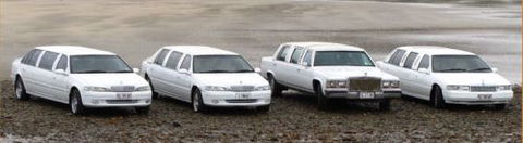 Gold Coyne Limousines - Internet Find 0