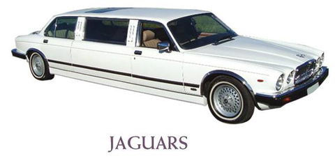Leisure Coast Limousine Service - Renee 2