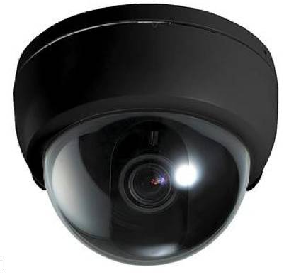 Muswellbrook Security Services - Renee 0