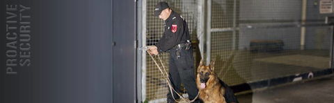 Proactive Security - Renee 1