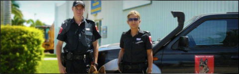 Proactive Security - Renee 2