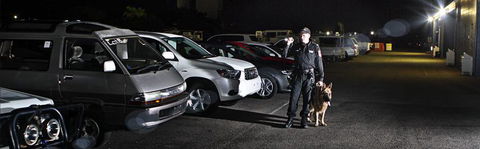 Proactive Security - Renee 3