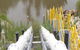 Pumps & Pipeline Services - thumb 0