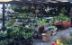 The Scone Potting Shed - thumb 2