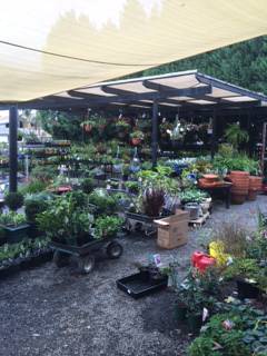 The Scone Potting Shed - Internet Find 2