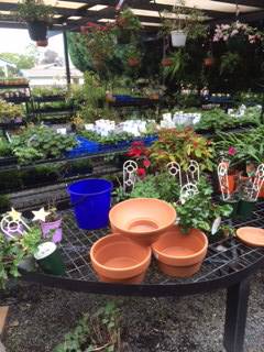 The Scone Potting Shed - Internet Find 4