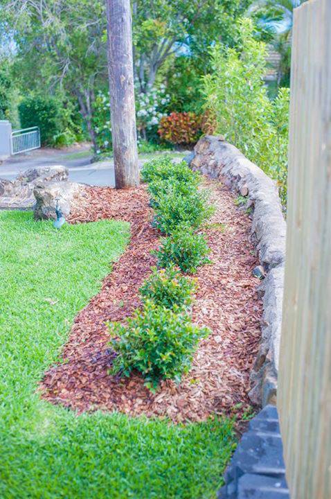 Hamilton Plains Turf - Renee 2